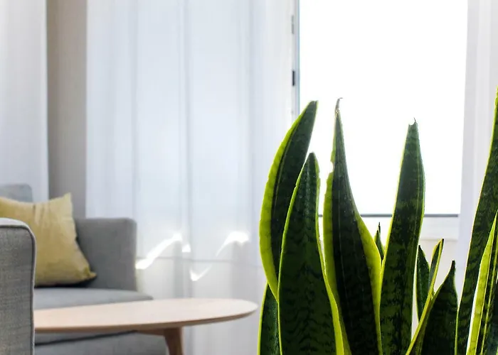 Thea Potidea בית נופש