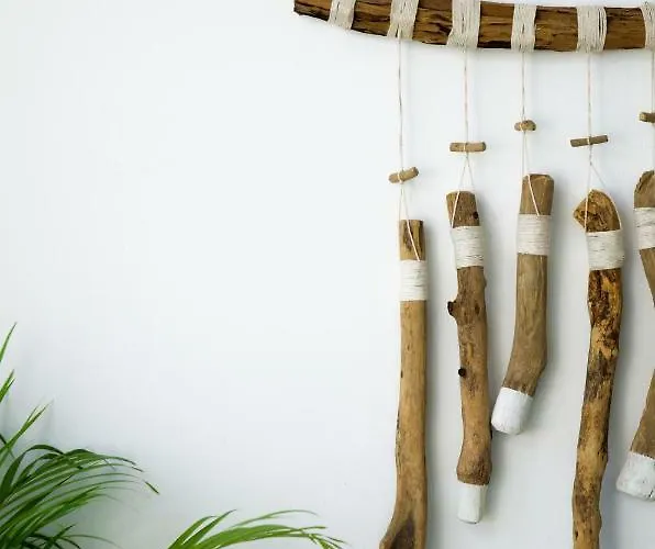 Thea Potidea נאה פוטידאה